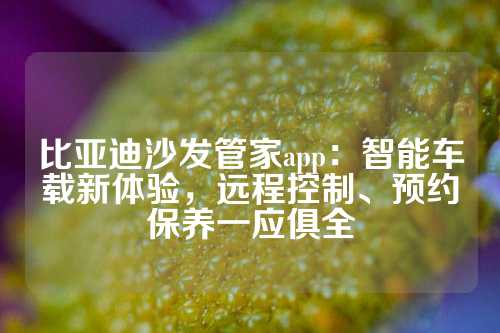 比亚迪沙发管家app：智能车载新体验，远程控制、预约保养一应俱全