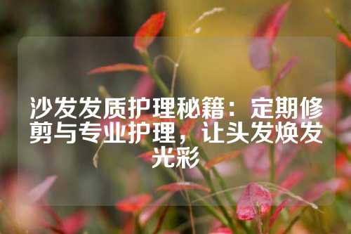 沙发发质护理秘籍：定期修剪与专业护理，让头发焕发光彩