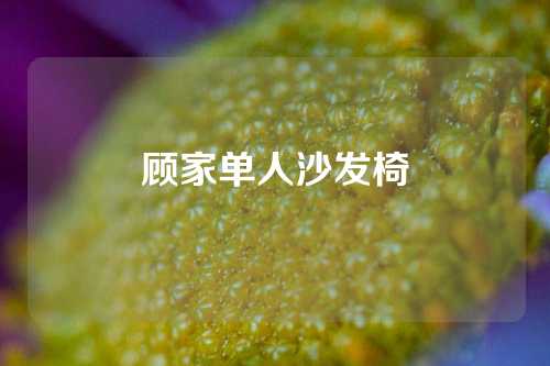 顾家单人沙发椅