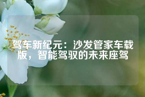 驾车新纪元：沙发管家车载版，智能驾驭的未来座驾