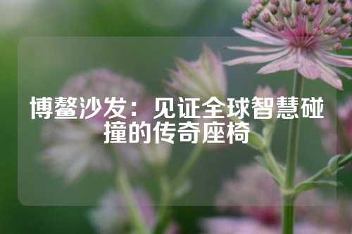 博鳌沙发：见证全球智慧碰撞的传奇座椅