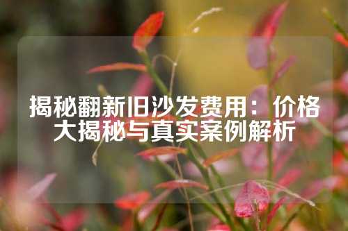 揭秘翻新旧沙发费用：价格大揭秘与真实案例解析