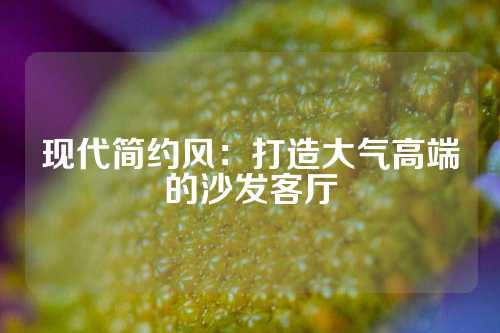 现代简约风：打造大气高端的沙发客厅