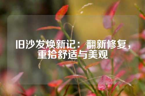 旧沙发焕新记：翻新修复，重拾舒适与美观