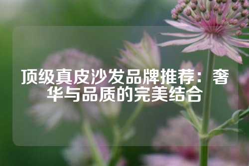 顶级真皮沙发品牌推荐：奢华与品质的完美结合