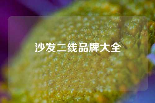 沙发二线品牌大全