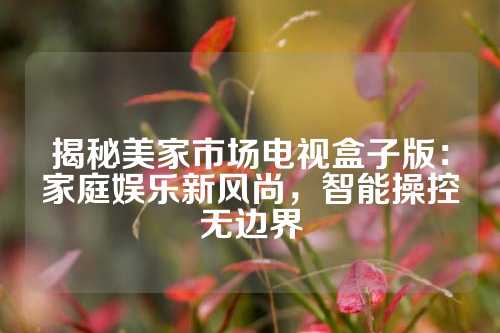 揭秘美家市场电视盒子版：家庭娱乐新风尚，智能操控无边界