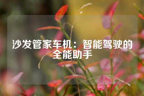 沙发管家车机：智能驾驶的全能助手