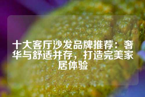 十大客厅沙发品牌推荐：奢华与舒适并存，打造完美家居体验