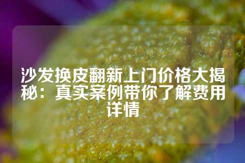沙发换皮翻新上门价格大揭秘：真实案例带你了解费用详情