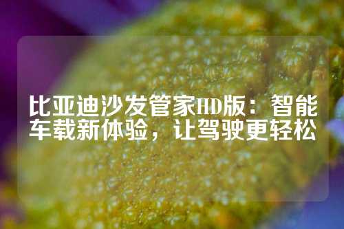 比亚迪沙发管家HD版：智能车载新体验，让驾驶更轻松