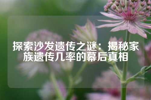 探索沙发遗传之谜：揭秘家族遗传几率的幕后真相