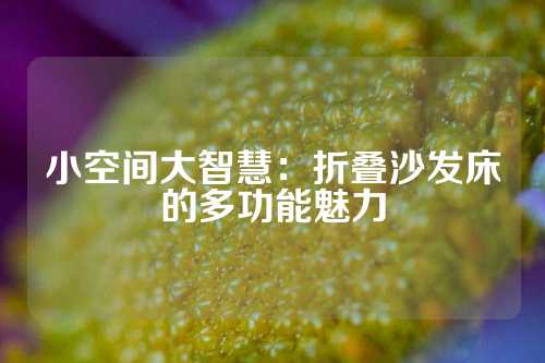 小空间大智慧:折叠沙发床的多功能魅力