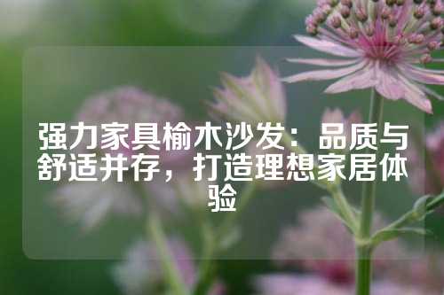 强力家具榆木沙发：品质与舒适并存，打造理想家居体验
