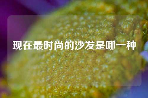 现在最时尚的沙发是哪一种