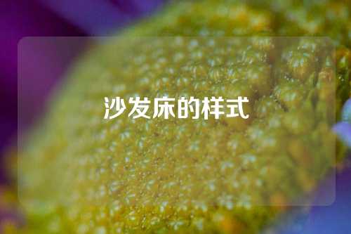 沙发床的样式