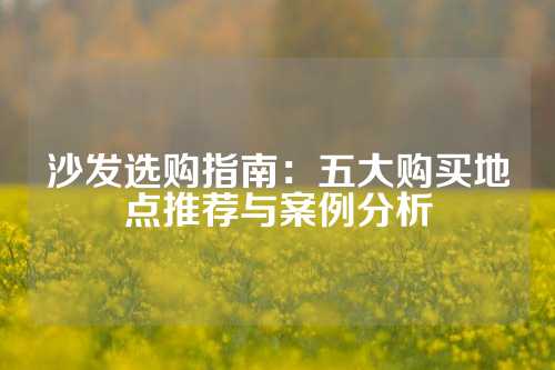 沙发选购指南：五大购买地点推荐与案例分析