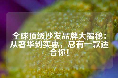 全球顶级沙发品牌大揭秘：从奢华到实惠，总有一款适合你！