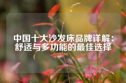 中国十大沙发床品牌详解：舒适与多功能的最佳选择