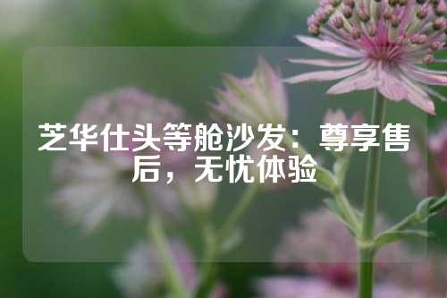 芝华仕头等舱沙发：尊享售后，无忧体验