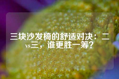 三块沙发椅的舒适对决：二vs三，谁更胜一筹？