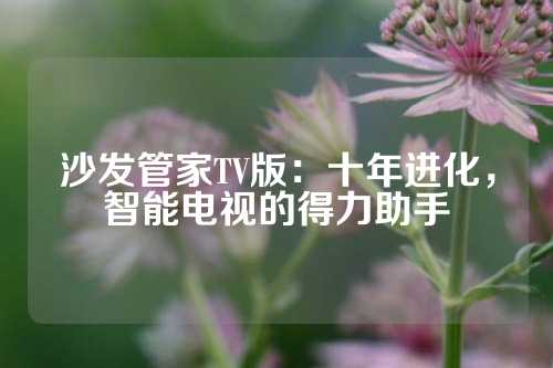 沙发管家TV版：十年进化，智能电视的得力助手