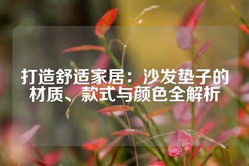 打造舒适家居：沙发垫子的材质、款式与颜色全解析