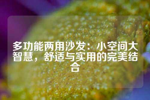多功能两用沙发：小空间大智慧，舒适与实用的完美结合