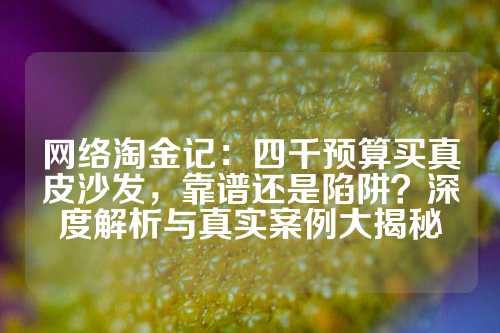 网络淘金记：四千预算买真皮沙发，靠谱还是陷阱？深度解析与真实案例大揭秘