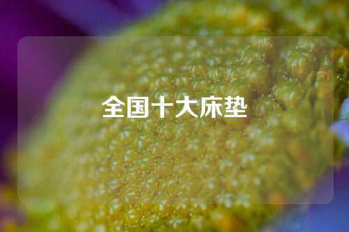 全国十大床垫