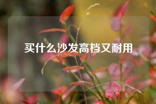 买什么沙发高档又耐用