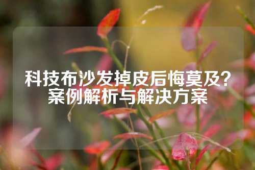 科技布沙发掉皮后悔莫及？案例解析与解决方案