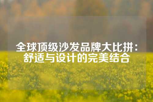 全球顶级沙发品牌大比拼：舒适与设计的完美结合