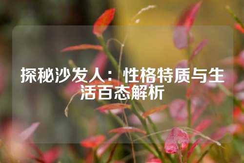 探秘沙发人：性格特质与生活百态解析