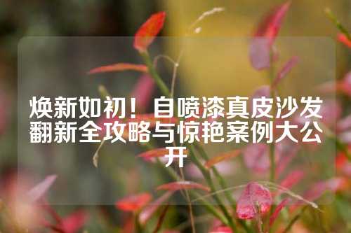 焕新如初！自喷漆真皮沙发翻新全攻略与惊艳案例大公开