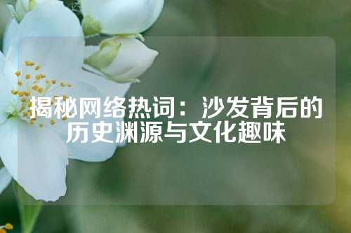 揭秘网络热词：沙发背后的历史渊源与文化趣味
