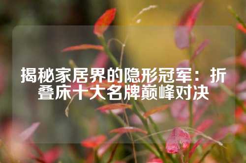 揭秘家居界的隐形冠军：折叠床十大名牌巅峰对决