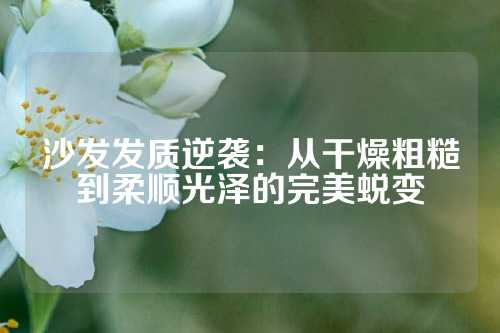 沙发发质逆袭：从干燥粗糙到柔顺光泽的完美蜕变