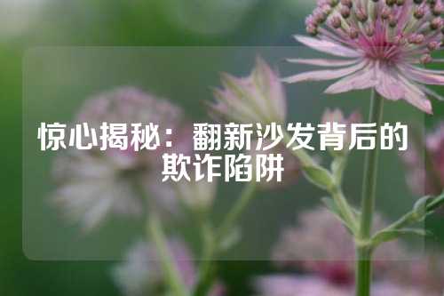 惊心揭秘：翻新沙发背后的欺诈陷阱