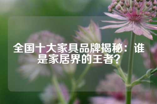 全国十大家具品牌揭秘：谁是家居界的王者？