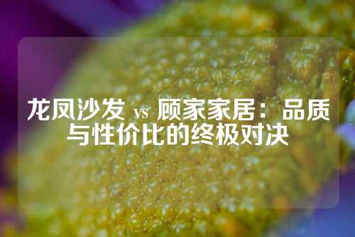 龙凤沙发 vs 顾家家居：品质与性价比的终极对决