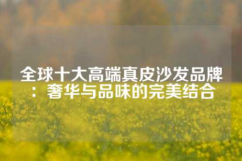 全球十大高端真皮沙发品牌：奢华与品味的完美结合
