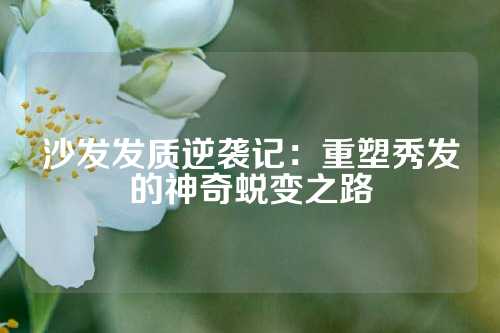 沙发发质逆袭记：重塑秀发的神奇蜕变之路