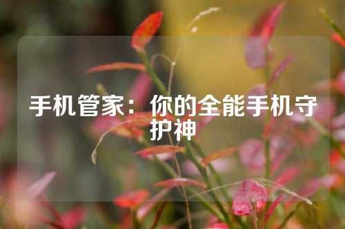 手机管家：你的全能手机守护神