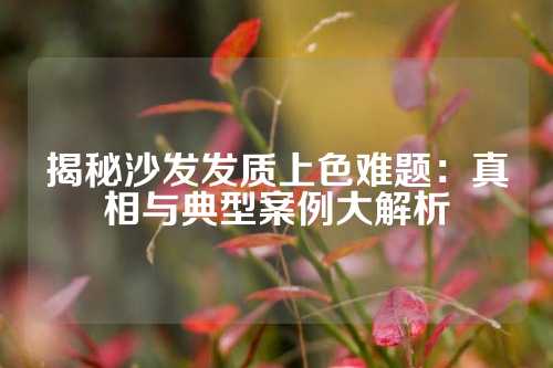 揭秘沙发发质上色难题：真相与典型案例大解析