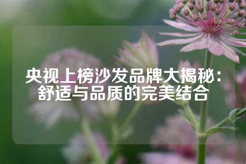 央视上榜沙发品牌大揭秘：舒适与品质的完美结合