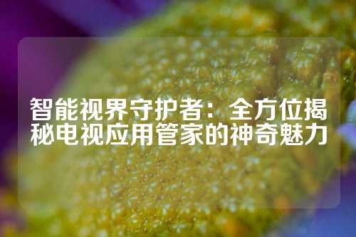 智能视界守护者：全方位揭秘电视应用管家的神奇魅力