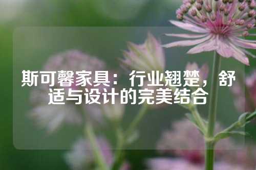 斯可馨家具：行业翘楚，舒适与设计的完美结合