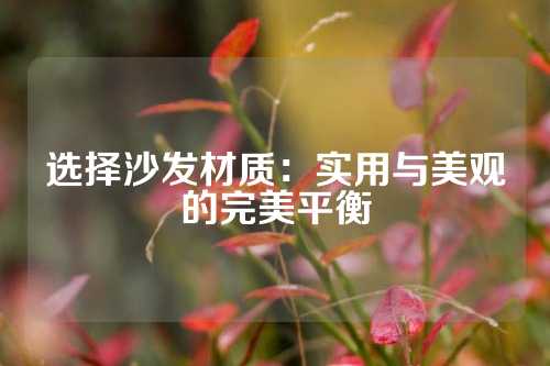 选择沙发材质：实用与美观的完美平衡