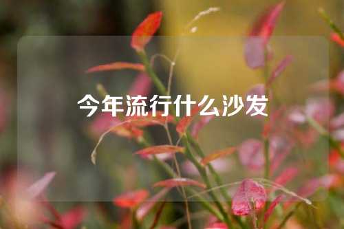 今年流行什么沙发